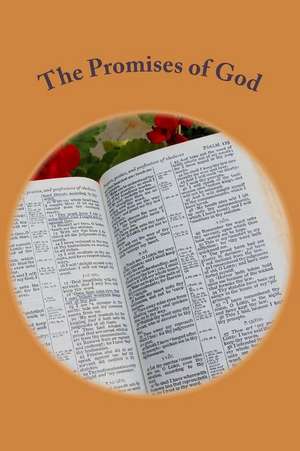 The Promises of God de John C. Rigdon