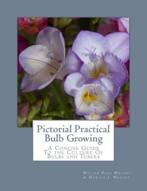 Pictorial Practical Bulb Growing de Walter Page Wright