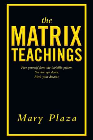 The Matrix Teachings de Mary Plaza