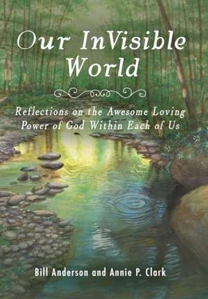 Our Invisible World de Bill Anderson