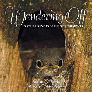 Wandering Off de Jeannie O. Harsha