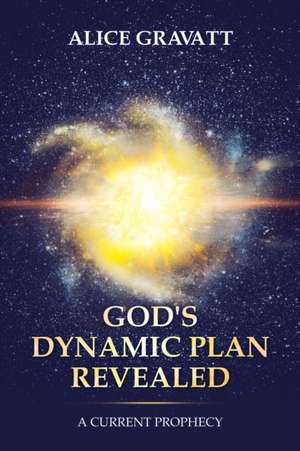 God's Dynamic Plan Revealed de Alice Gravatt