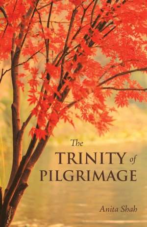 The Trinity of Pilgrimage de Anita Shah