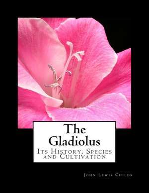 The Gladiolus de John Lewis Childs