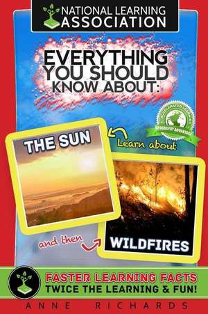 Everything You Should Know about the Sun and Wildfires de Anne Richards