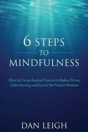 6 Steps to Mindfulness de Leigh, Dan