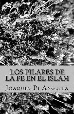 Los Pilares de la Fe En El Islam de Pi Anguita, Mr Joaquin