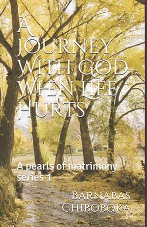 A Journey with God When Life Hurts de MR Barnabas Chiboboka