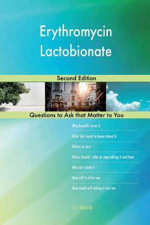 Erythromycin Lactobionate; Second Edition de Blokdijk, G. J.