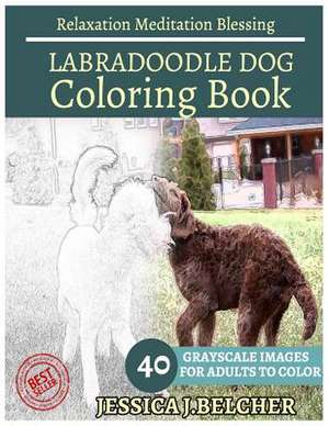 Labradoodle Dog Coloring Book for Adults Relaxation Meditation Blessing de Belcher, Jessica