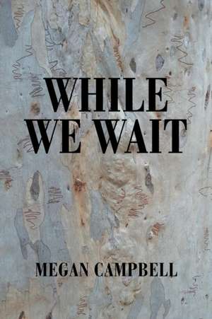 While We Wait de Megan Campbell