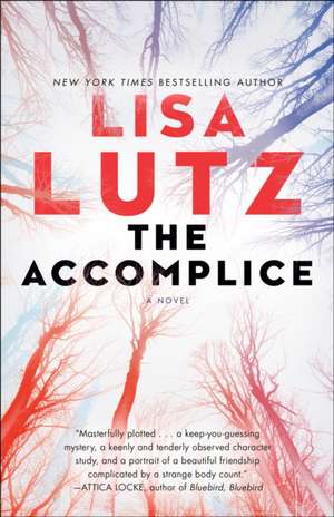 The Accomplice de Lisa Lutz