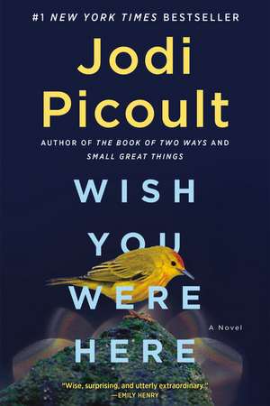 Wish You Were Here de Jodi Picoult