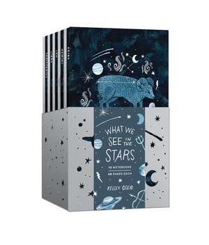 What We See in the Stars: A 12-Notebook Set de Kelsey Oseid