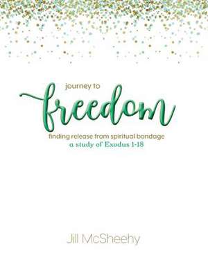 Journey to Freedom de McSheehy, Jill