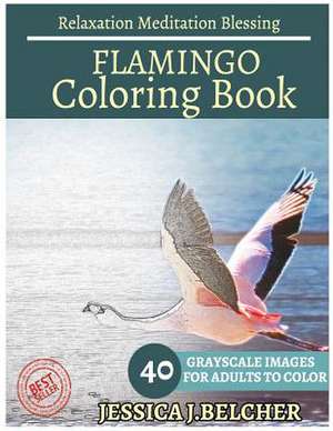 Flamingo Coloring Book for Adults Relaxation Meditation Blessing de Belcher, Jessica