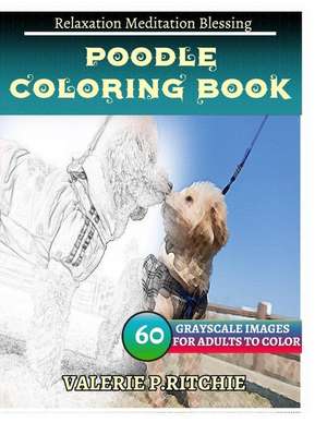 Poodle Coloring Book for Adults Relaxation Meditation Blessing de Ritchie, Valerie