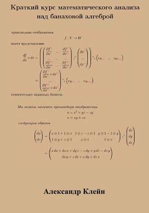 Crash Course in Calculus Over Banach Algebra (Russian Edition) de Aleks Kleyn