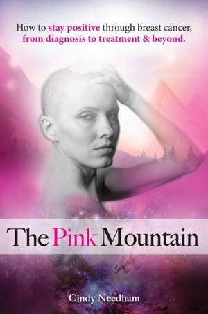 The Pink Mountain de Cindy Needham
