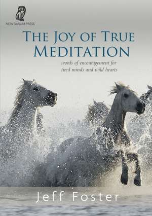 The joy of True Meditation de Jeff Foster