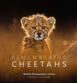 Remembering Cheetahs de Margot Raggett