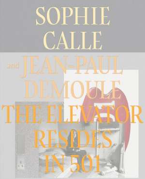 The Elevator Resides in 501 de Jean-Paul Demoule