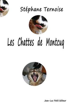 Les chattes de Montcuq de Stéphane Ternoise