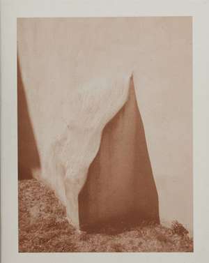 Shivers de Sebastien Arrighi