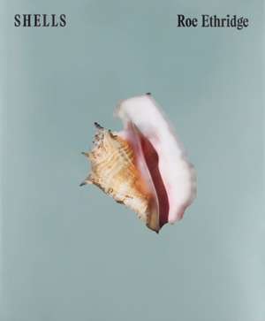 SHELLS de Roe Ethridge