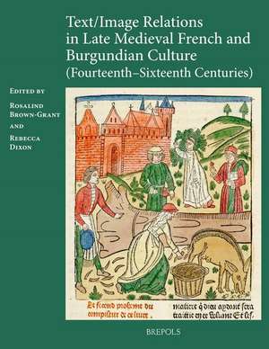 Text/Image Relations in Late Medieval French Culture (14th C. - 16th C.) de Rosalind Brown-Grant