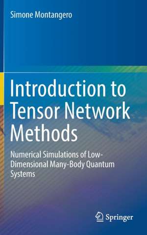 Introduction to Tensor Network Methods: Numerical simulations of low-dimensional many-body quantum systems de Simone Montangero