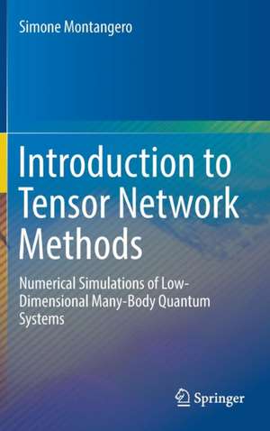 Montangero, S: Introduction to Tensor Network Methods