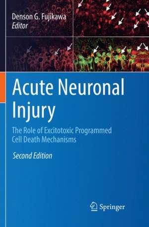 Acute Neuronal Injury: The Role of Excitotoxic Programmed Cell Death Mechanisms de Denson G. Fujikawa