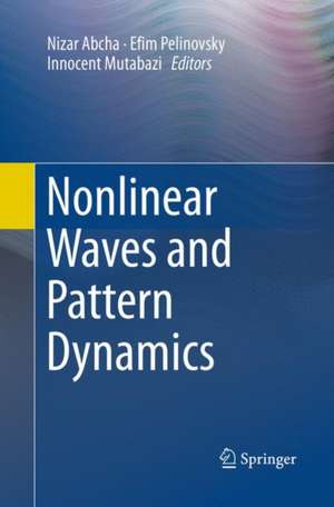 Nonlinear Waves and Pattern Dynamics de Nizar Abcha