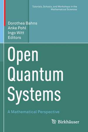 Open Quantum Systems: A Mathematical Perspective de Dorothea Bahns