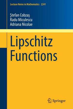 Lipschitz Functions de Ştefan Cobzaş