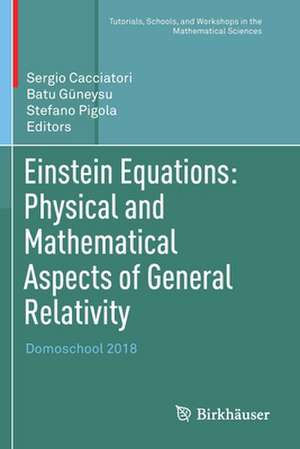 Einstein Equations: Physical and Mathematical Aspects of General Relativity: Domoschool 2018 de Sergio Cacciatori