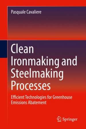 Clean Ironmaking and Steelmaking Processes: Efficient Technologies for Greenhouse Emissions Abatement de Pasquale Cavaliere