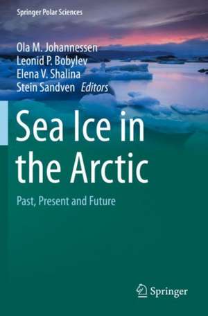 Sea Ice in the Arctic: Past, Present and Future de Ola M. Johannessen