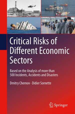 Critical Risks of Different Economic Sectors: Based on the Analysis of More Than 500 Incidents, Accidents and Disasters de Dmitry Chernov