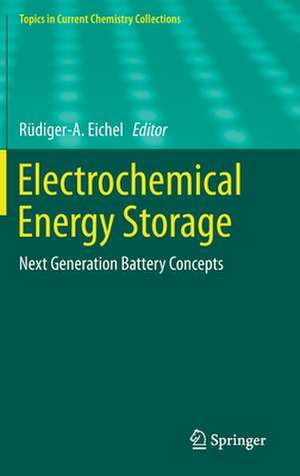 Electrochemical Energy Storage: Next Generation Battery Concepts de Rüdiger-A. Eichel