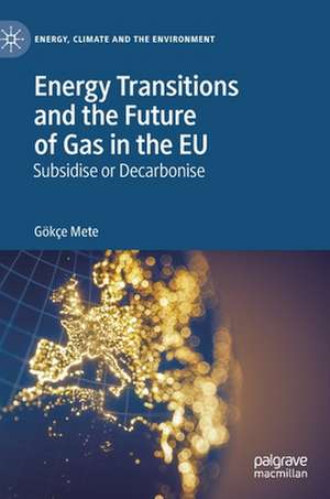 Energy Transitions and the Future of Gas in the EU: Subsidise or Decarbonise de Gökҫe Mete