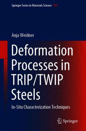 Deformation Processes in TRIP/TWIP Steels: In-Situ Characterization Techniques de Anja Weidner