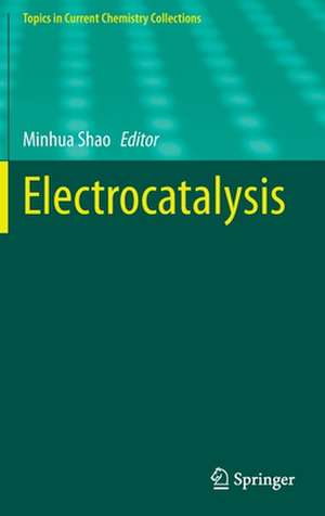 Electrocatalysis de Minhua Shao