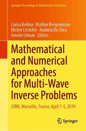 Mathematical and Numerical Approaches for Multi-Wave Inverse Problems: CIRM, Marseille, France, April 1–5, 2019 de Larisa Beilina