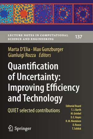 Quantification of Uncertainty: Improving Efficiency and Technology: QUIET selected contributions de Marta D'Elia