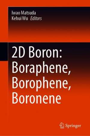 2D Boron: Boraphene, Borophene, Boronene de Iwao Matsuda