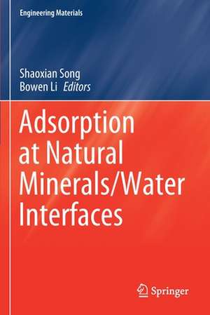 Adsorption at Natural Minerals/Water Interfaces de Shaoxian Song