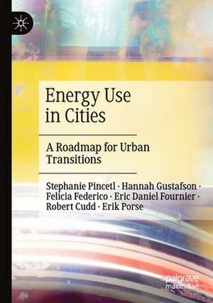 Energy Use in Cities: A Roadmap for Urban Transitions de Stephanie Pincetl