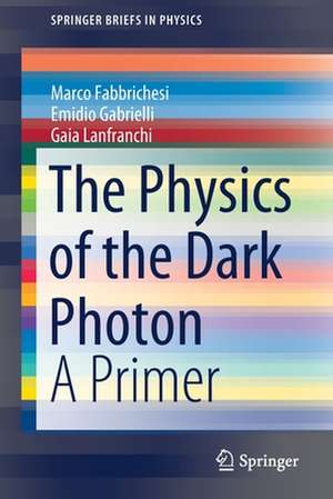 The Physics of the Dark Photon: A Primer de Marco Fabbrichesi